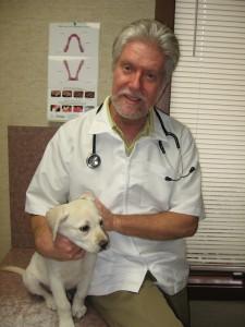 Meet Our Team Veterinary Clinic of Indiana Veterinarian in